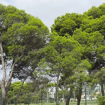 Playa Pinar Golf Apartman *