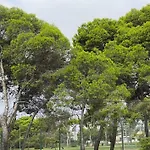 Playa Pinar Golf 아파트 *